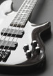 Bass Guitar