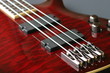 Bass Guitar