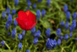 Stand Out from the Crowd