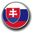 slovakia flag icon - vector button slovakia flag icon - vector button