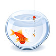 Fishing the goldfish with a worm