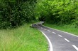 road