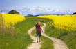 walking