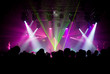 People relaxing at the concert