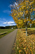 Herbstgang