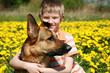 Boy, dog and yellow meadow.