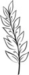 Laurel Branch (Vector)