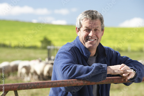 Photo: Farm Worker With Flock Of Sheep Farm Worker With Flock Of Sheep