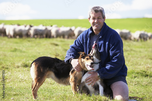 Photo: Farm Worker With Flock Of Sheep Farm Worker With Flock Of Sheep