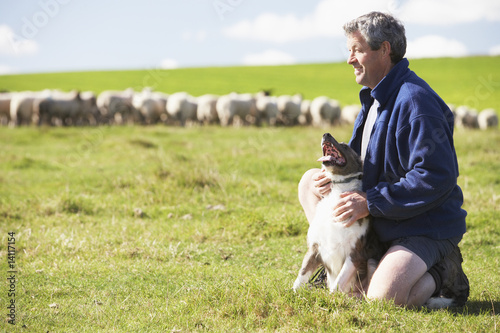 Photo: Farm Worker With Flock Of Sheep Farm Worker With Flock Of Sheep