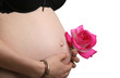 grossesse, attendre bebe