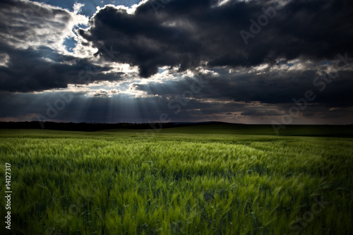 Foto: Gewitterstimmung Gewitterstimmung