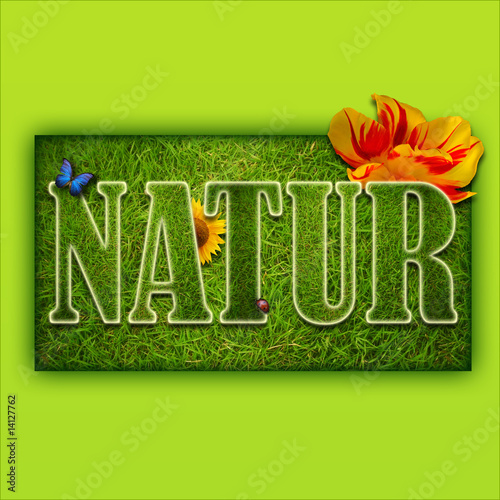 Natur 2