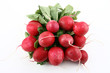 Frische Radieschen