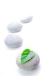 Massage gray stones