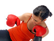 boxen  für selbstverteidigung & fitness