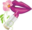 Female smile, orchid and lipstick. Vector Female smile, orchid and lipstick. Vector