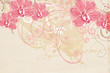 Orchids