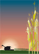 Landwirtschaft