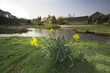 cotswolds