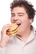 Cute chubby eating a hamburger