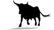 Schwarzer Stier