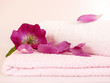 Beaty,Wellness
