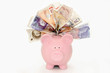 Stuffed piggy bank