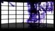 Liquido Monitor