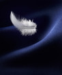 Foto: feather and satin feather and satin