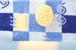 Foto: Wellness Schwamm Seife Wellness Schwamm Seife