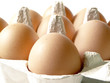 Frühstücksei IV