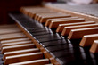 Orgel-Tasten