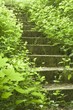 stairway to heaven