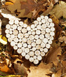 A heart shaped wooden decoration laying on autumn leaves