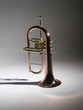 Fluegelhorn 1