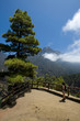 La Palma Caldera de taburiente La Palma Caldera de taburiente