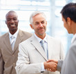 Successful business people shaking hands on a deal