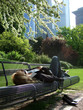 Relax