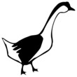 Goose