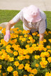 women gardening