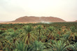 MARRUECOS-OUJDA-