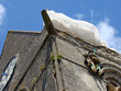 sainte-Mère Eglise - Parachutiste sainte-Mère Eglise - Parachutiste