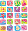 summer icons set