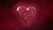I love you I love you