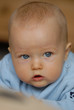 Baby-Portrait