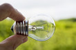 Light bulb outside Light bulb outside