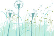 floral background, dandelion floral background, dandelion
