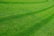 lawn