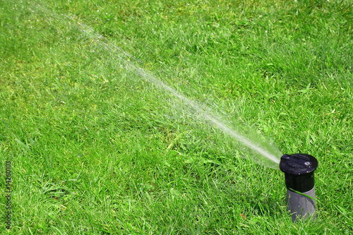 Photo: working lawn sprinkler working lawn sprinkler
